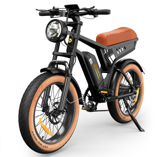 isinwheel R6 Retro Electric Bike